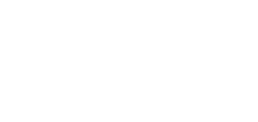 Benoist Wealth Strategies Logo